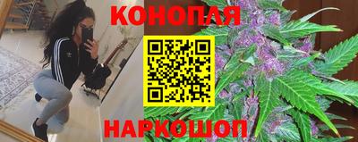 PSILOCYBIN Кингисепп