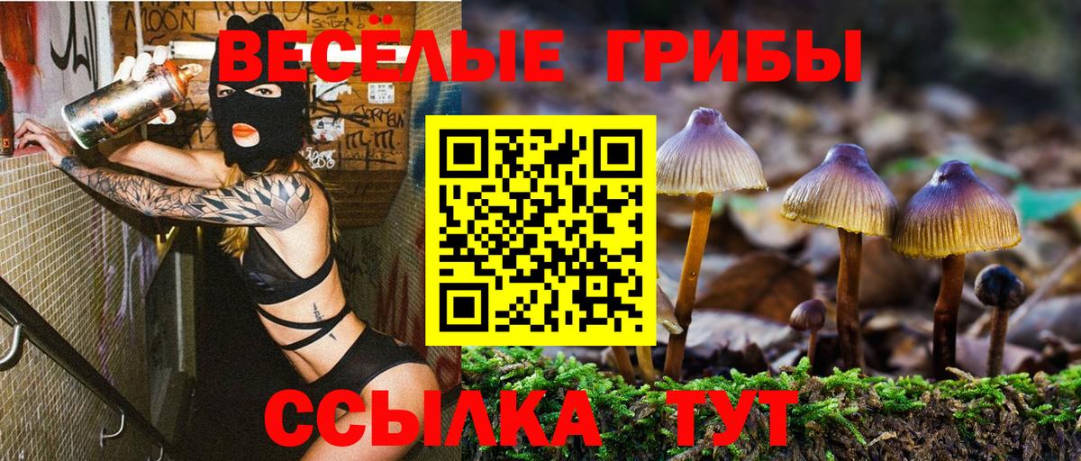 Псилоцибиновые грибы мухоморы  Вход с VPN  Кизляр  Псилоцибиновые грибы мухоморы 